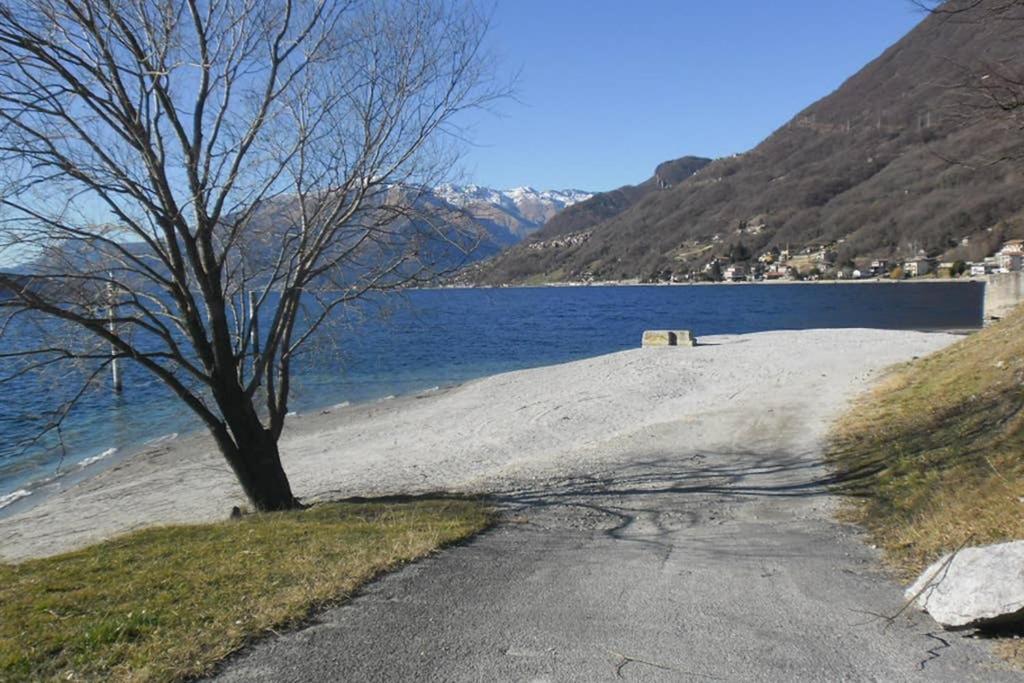 Favoloso Appartamento Fronte Lago, Gera Lario Eksteriør billede