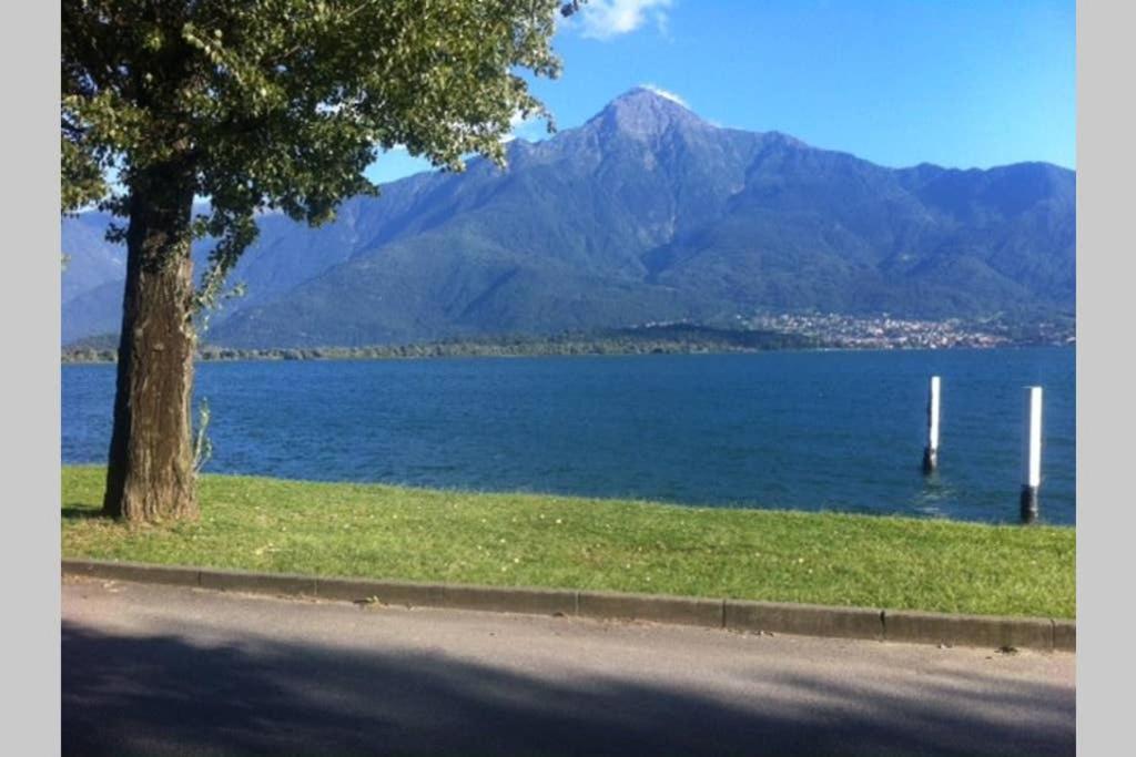 Favoloso Appartamento Fronte Lago, Gera Lario Eksteriør billede